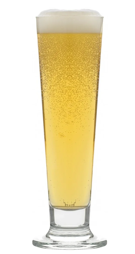 pilsner pilsner